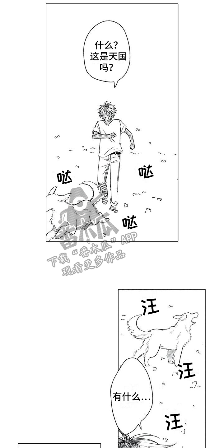 第13章：后悔11