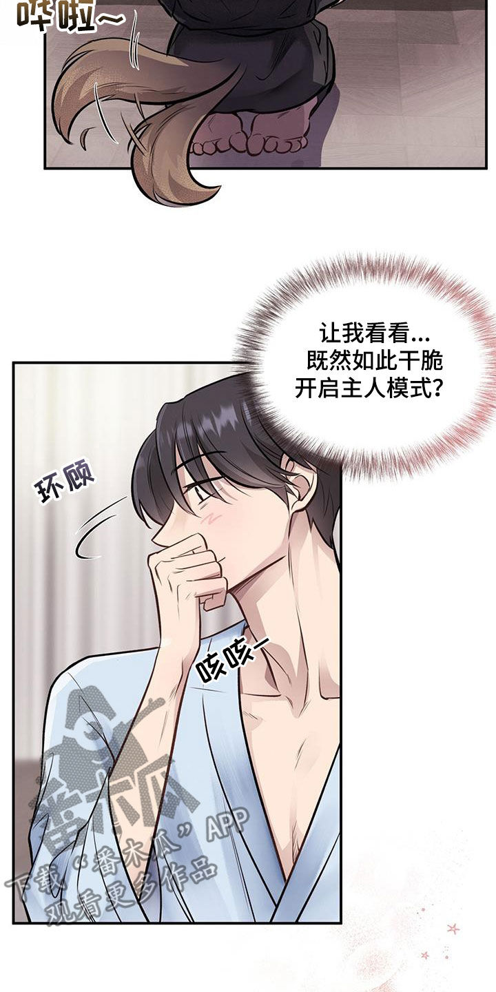 第44章：都要听我的7