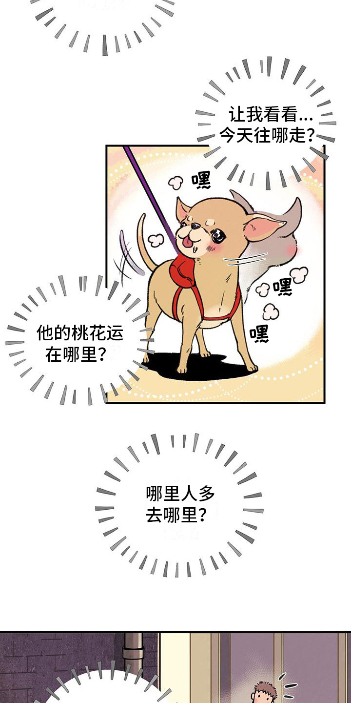 第1章：铲屎官10