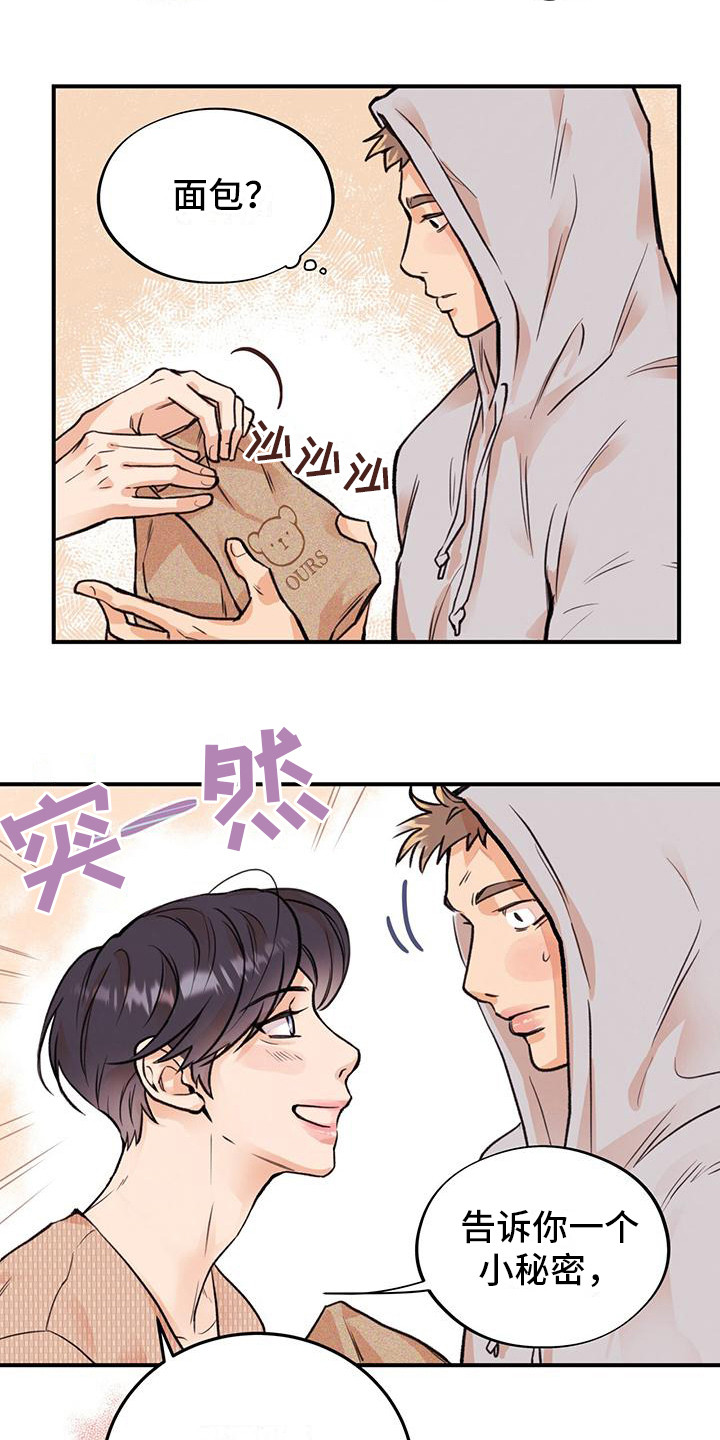 第8章：小熊图案9