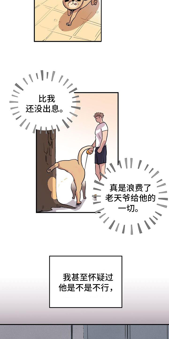 第1章：铲屎官6