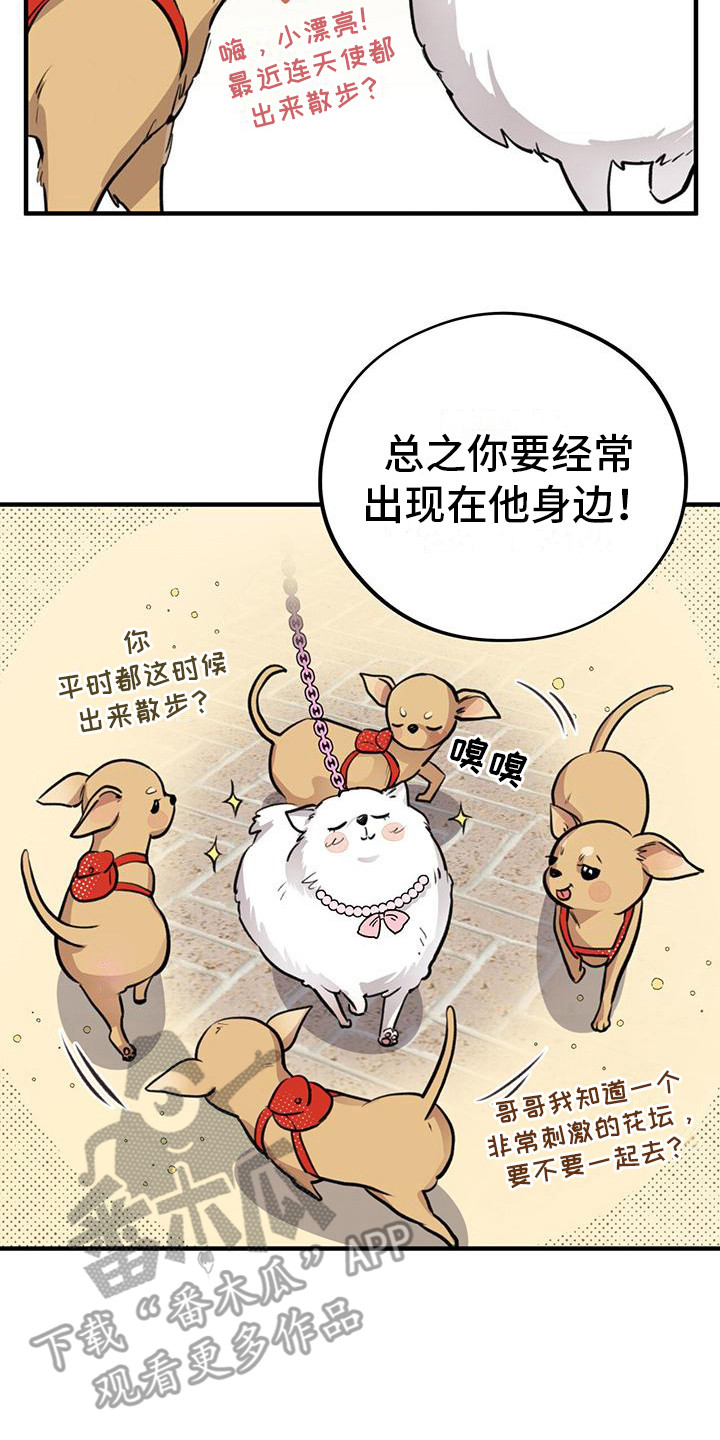 第11章：出主意12