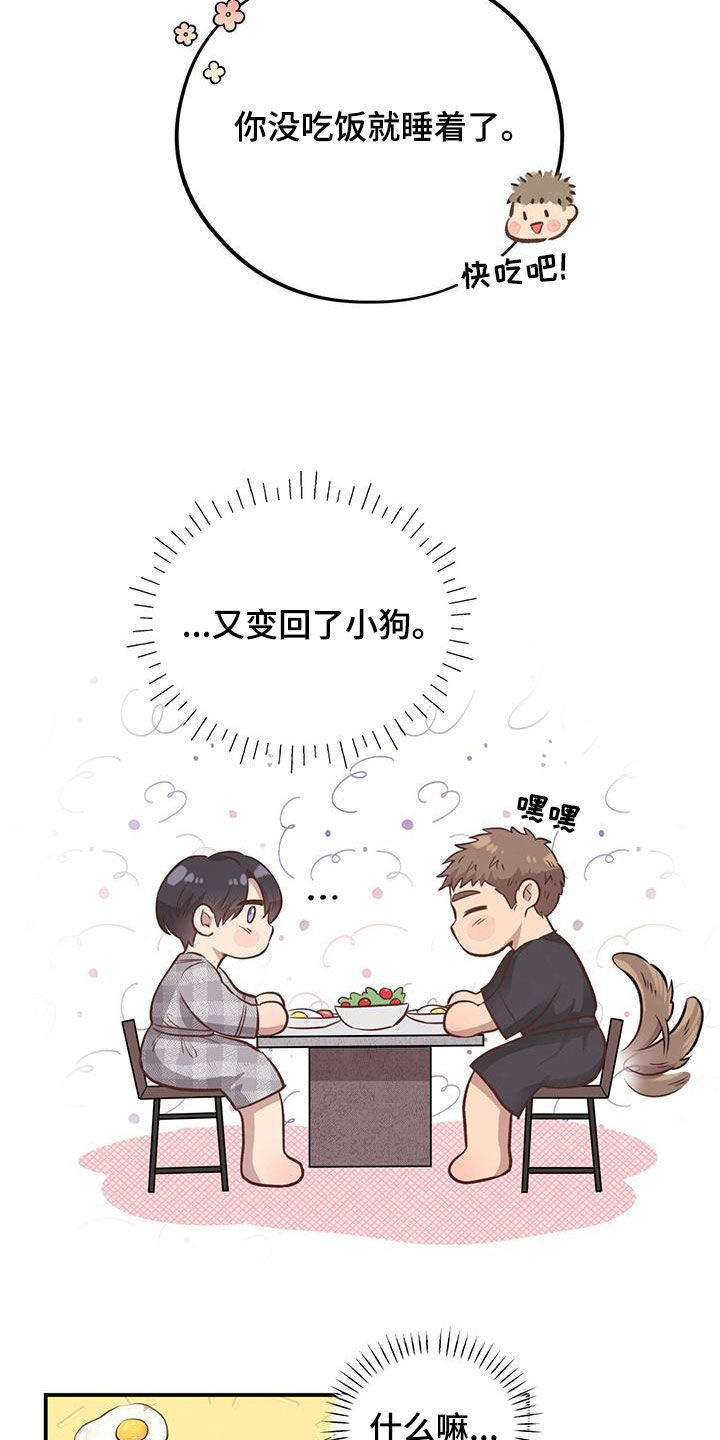 第49章：校庆19