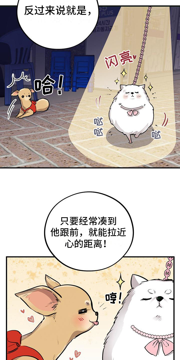 第11章：出主意11