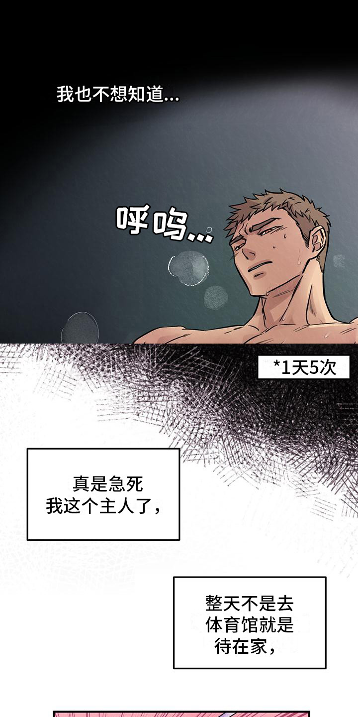 第1章：铲屎官8