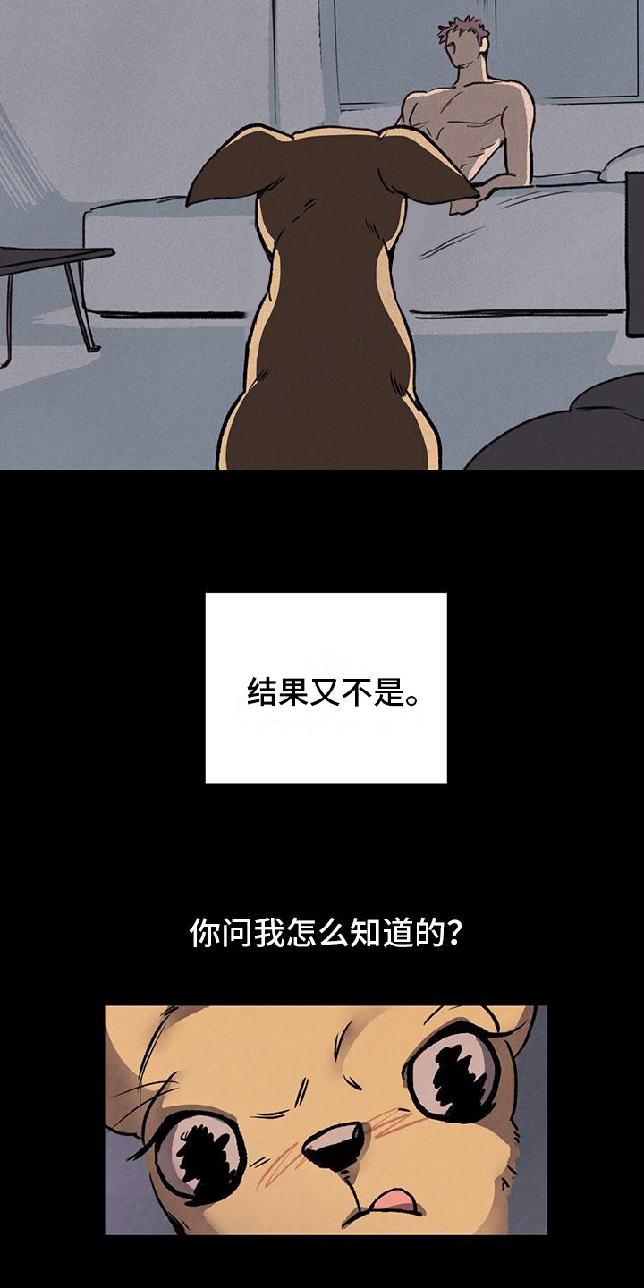 第1章：铲屎官7