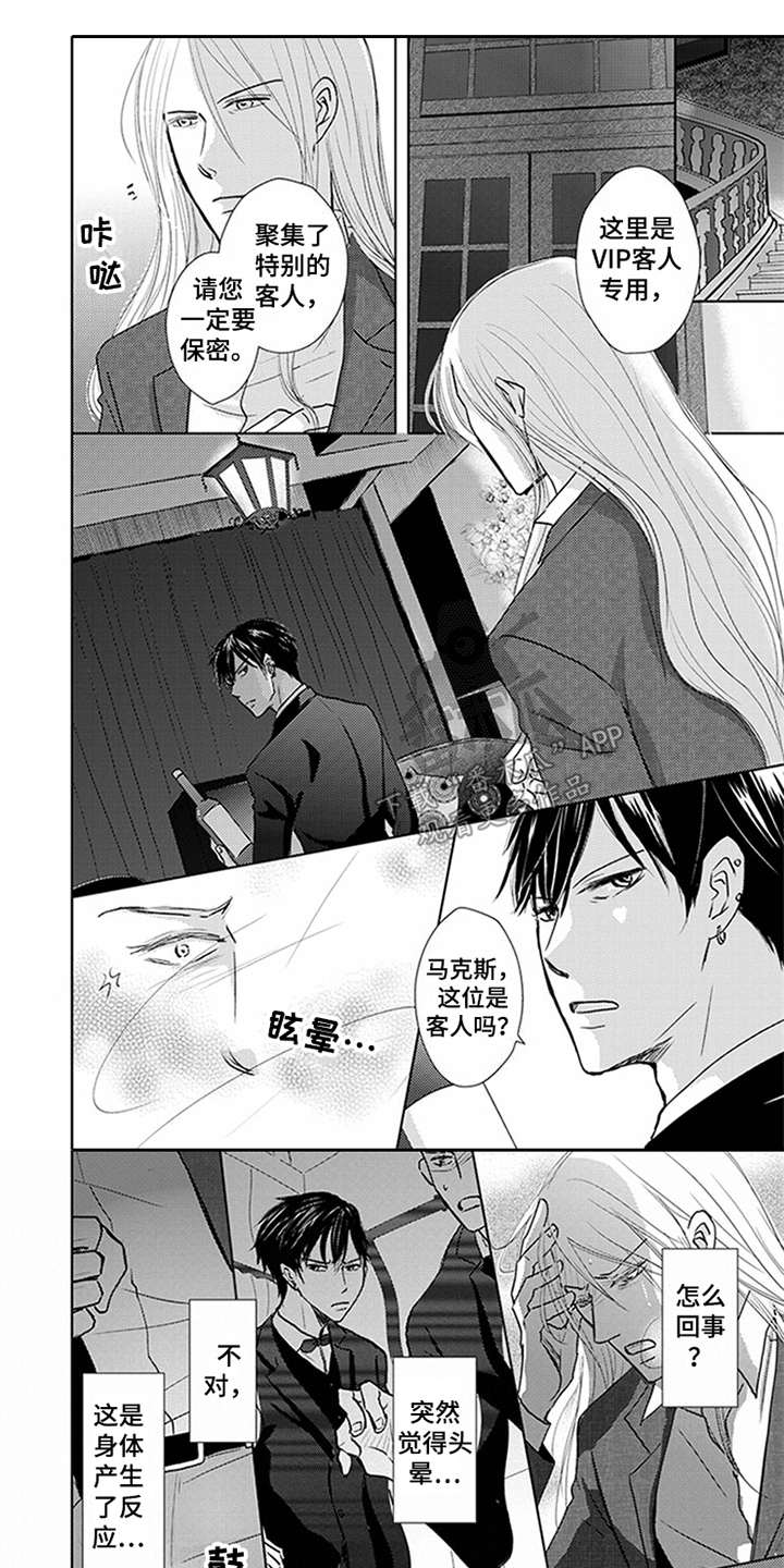 第6章：VIP0