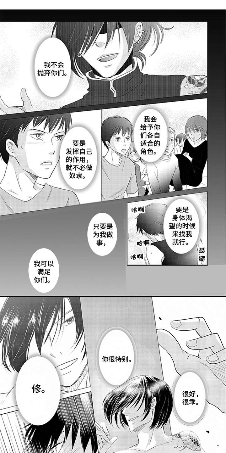 第28章：擅长的领域0