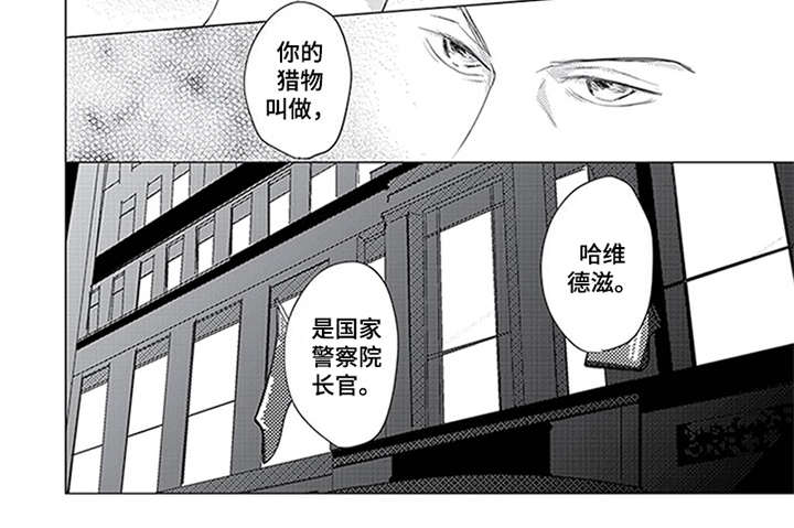 第30章：开始行动3