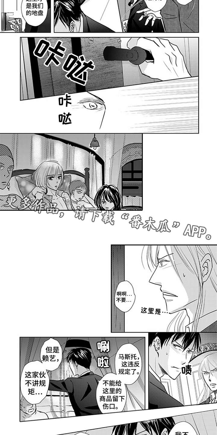 第6章：VIP3