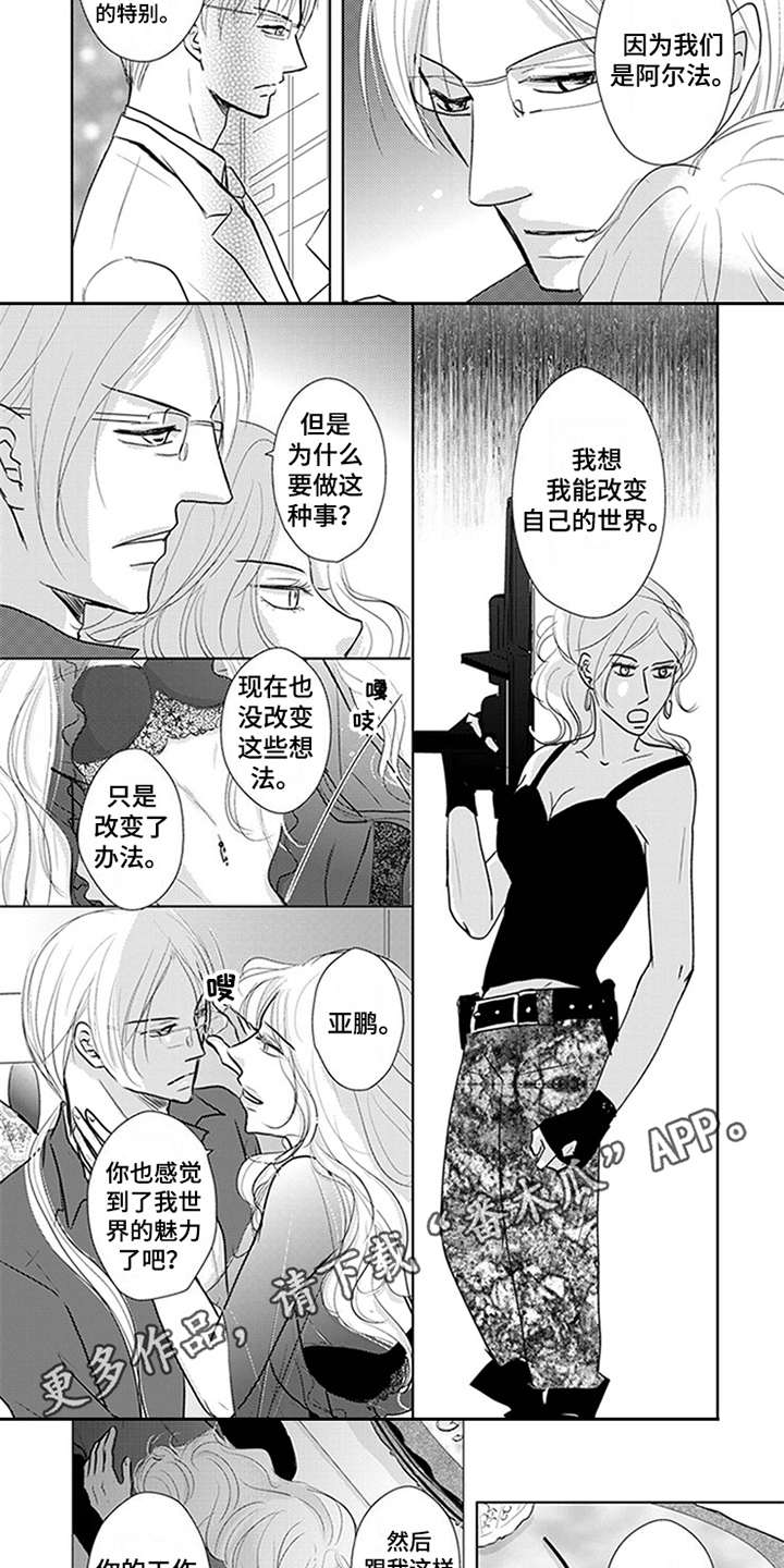 第4章：宝石1