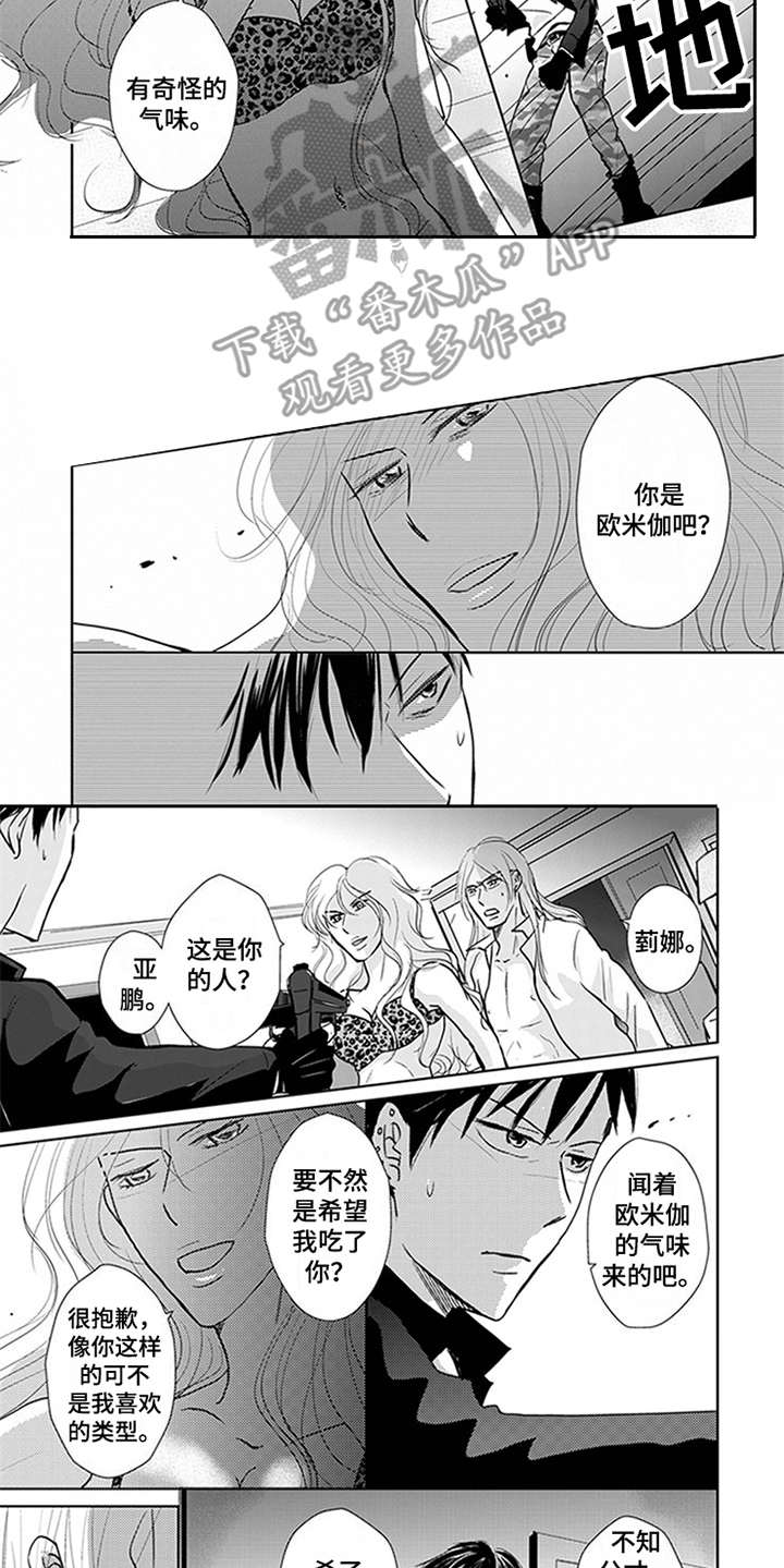 第4章：宝石5