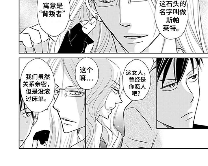 第4章：宝石8