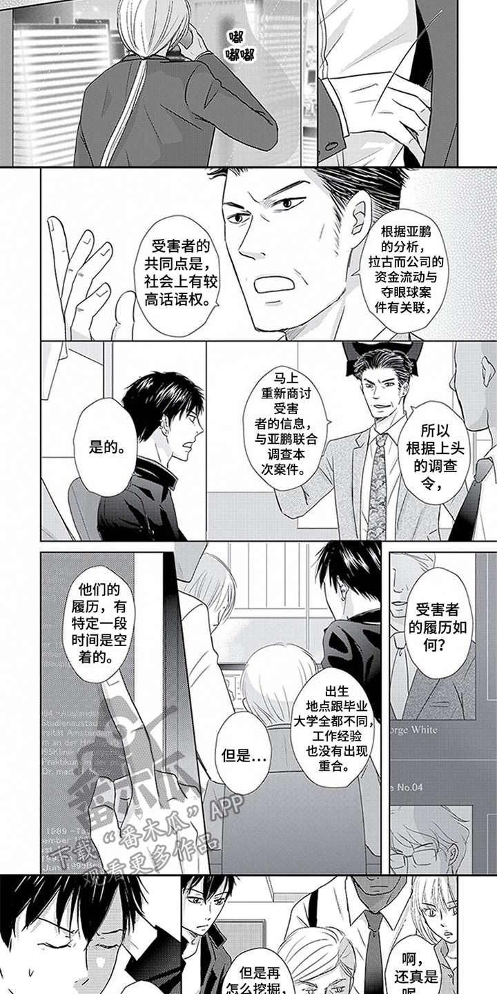 第17章：关联6
