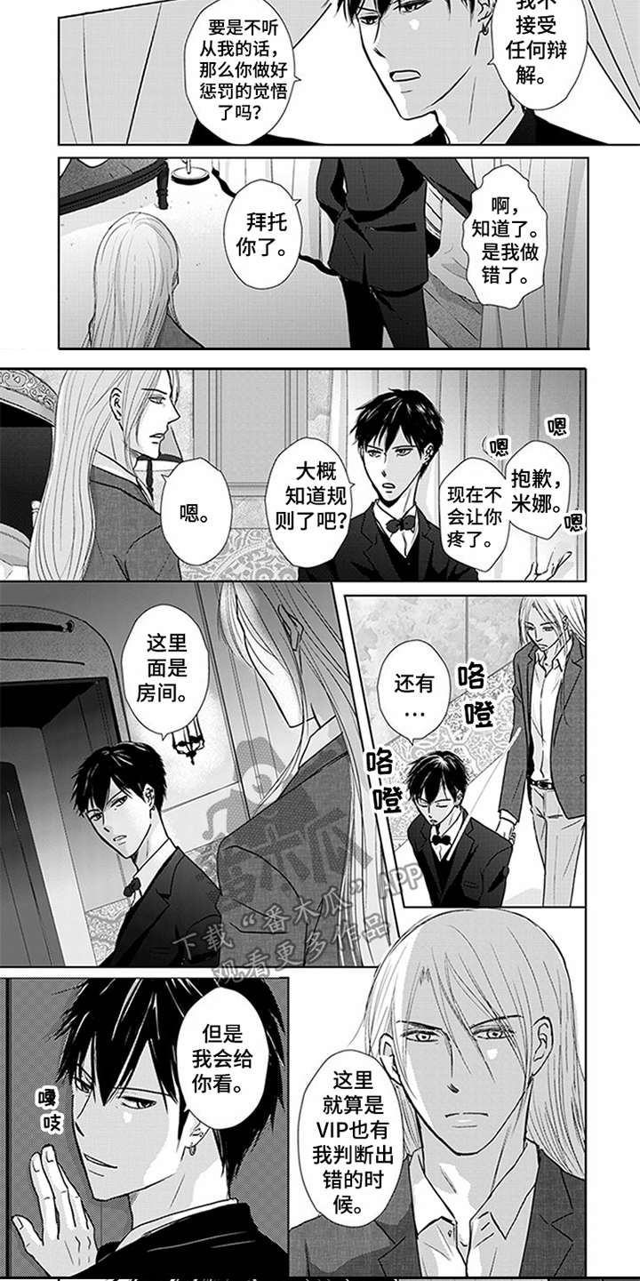 第6章：VIP4