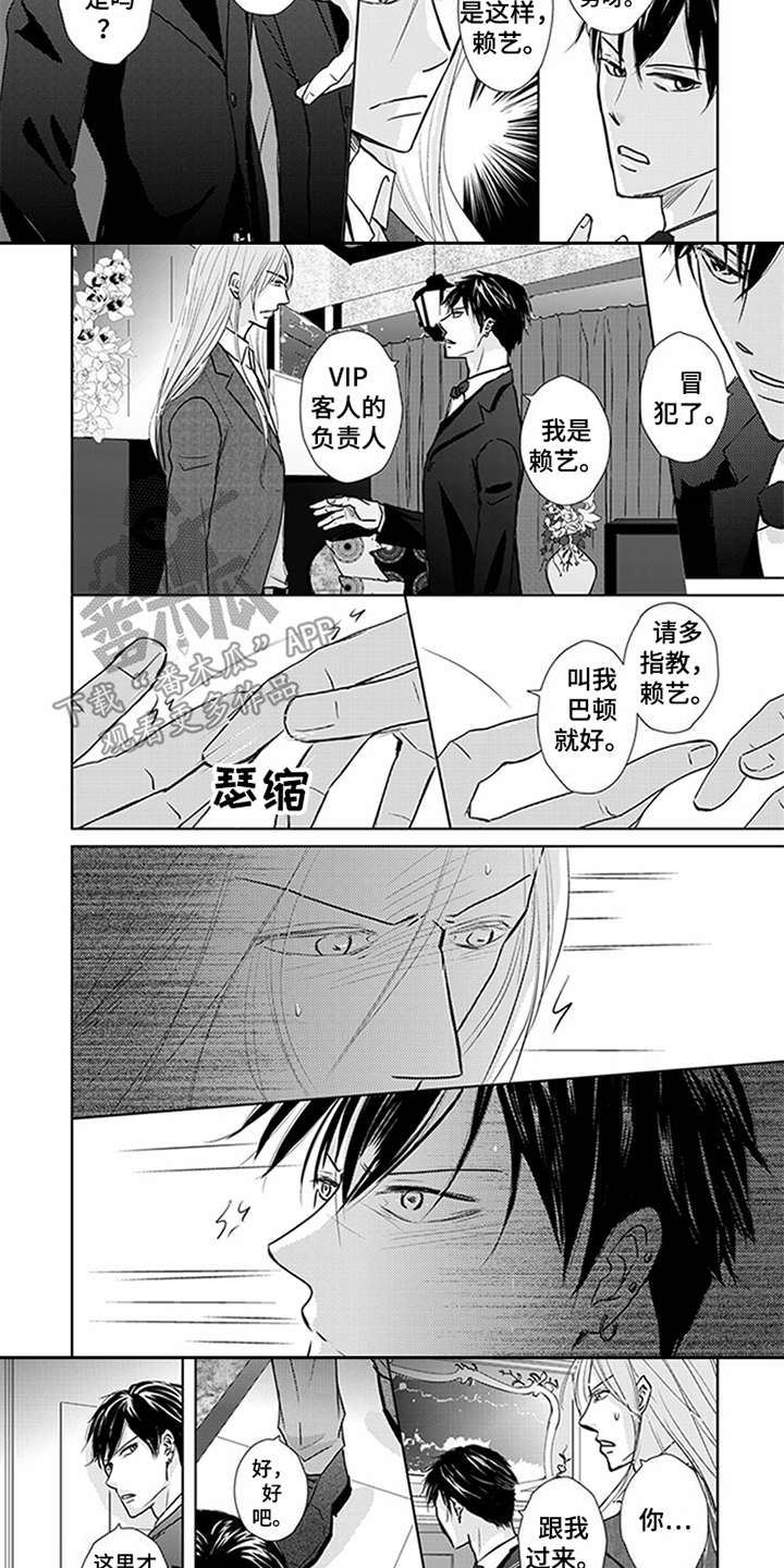 第6章：VIP2