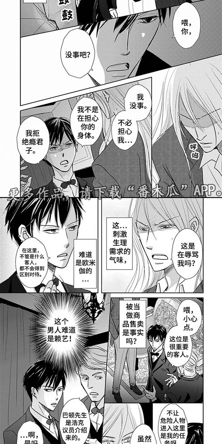 第6章：VIP1