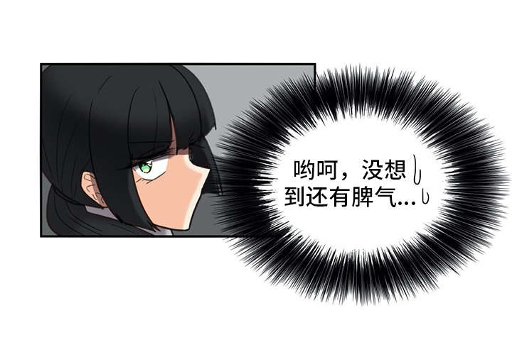 第21章：躲起来12