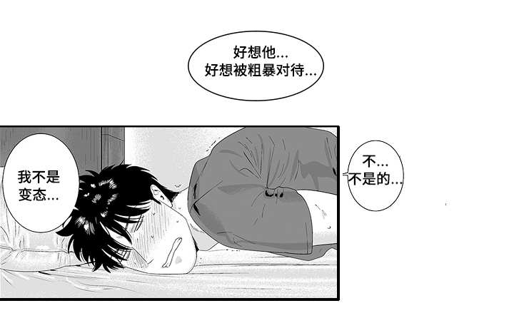 第32章：好像他啊12