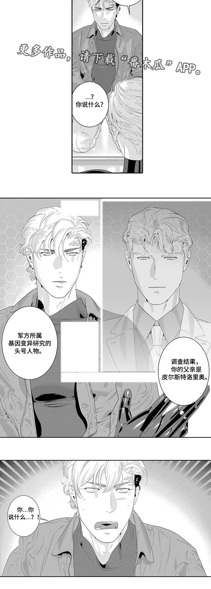 第33章：一起合作8