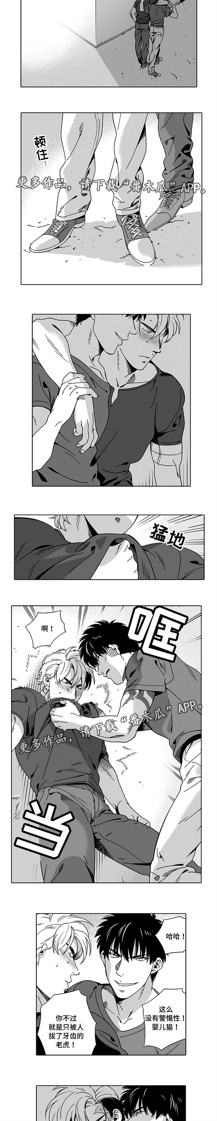 第13章：确定一下6