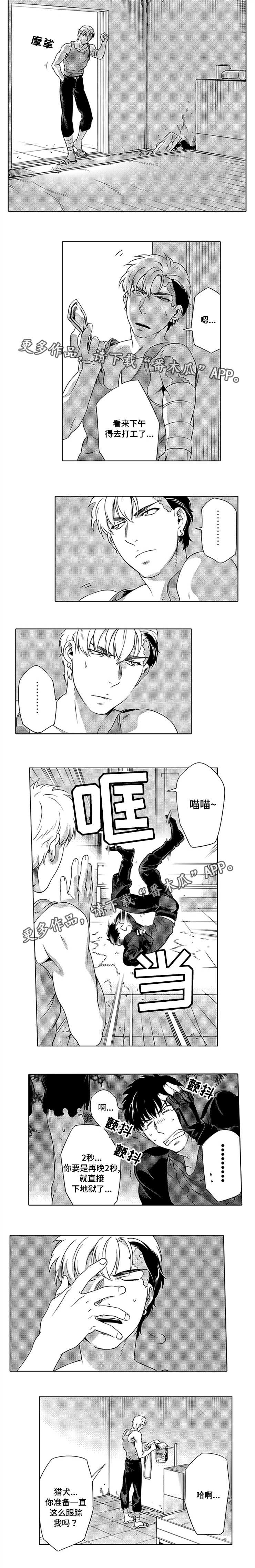 第6章：狗皮膏药2