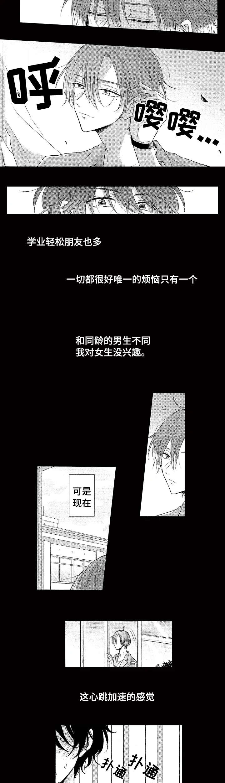 第1章：一见钟情5