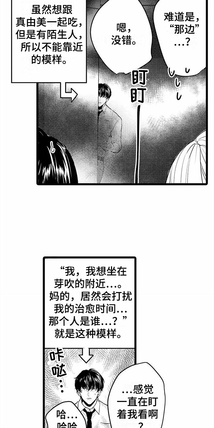 第13章：建议15