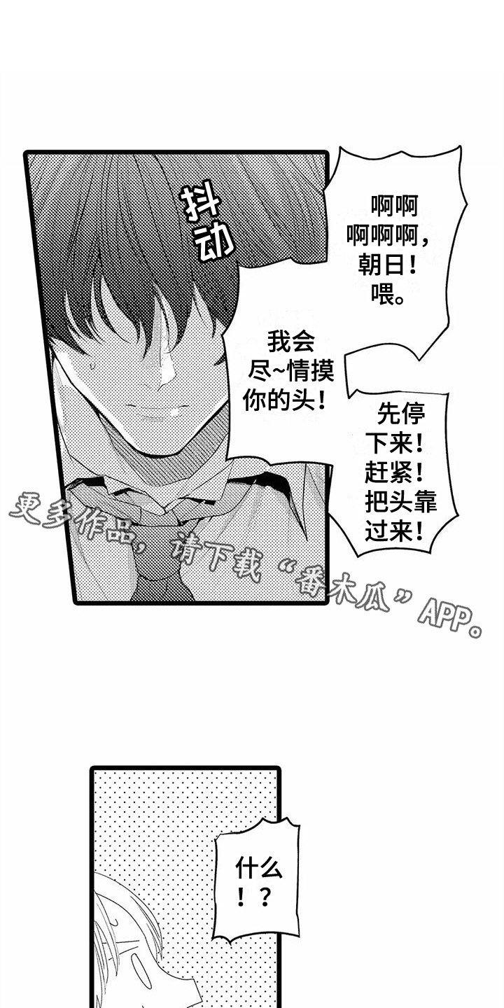 第18章：想要了解  10