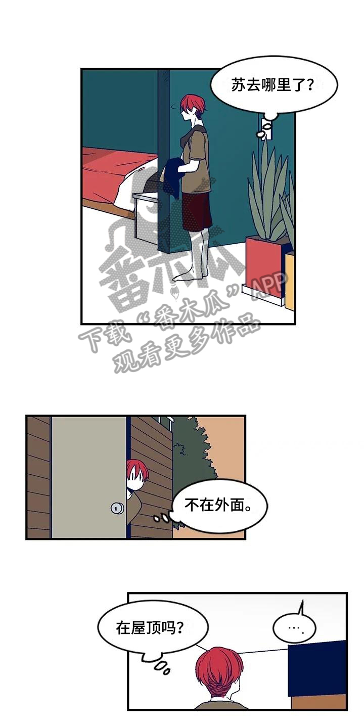 第28章：诅咒0