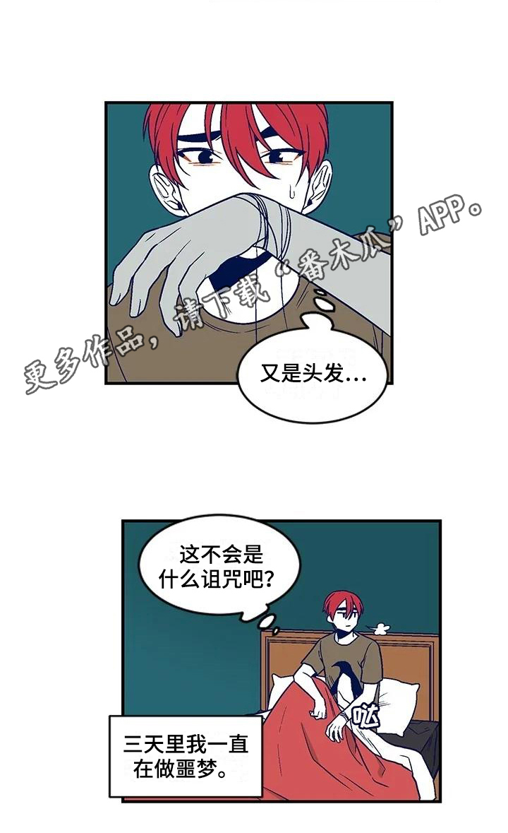 第28章：诅咒14