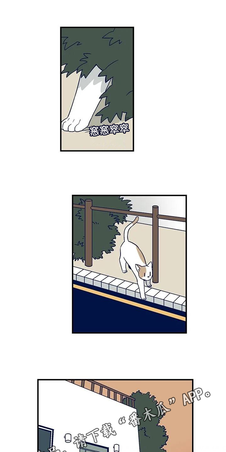 第30章：离家出走10