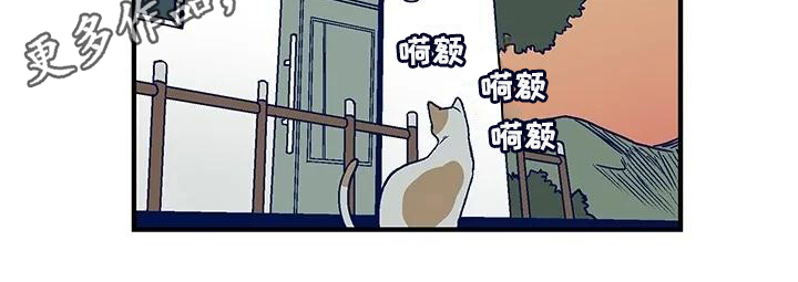 第30章：离家出走11