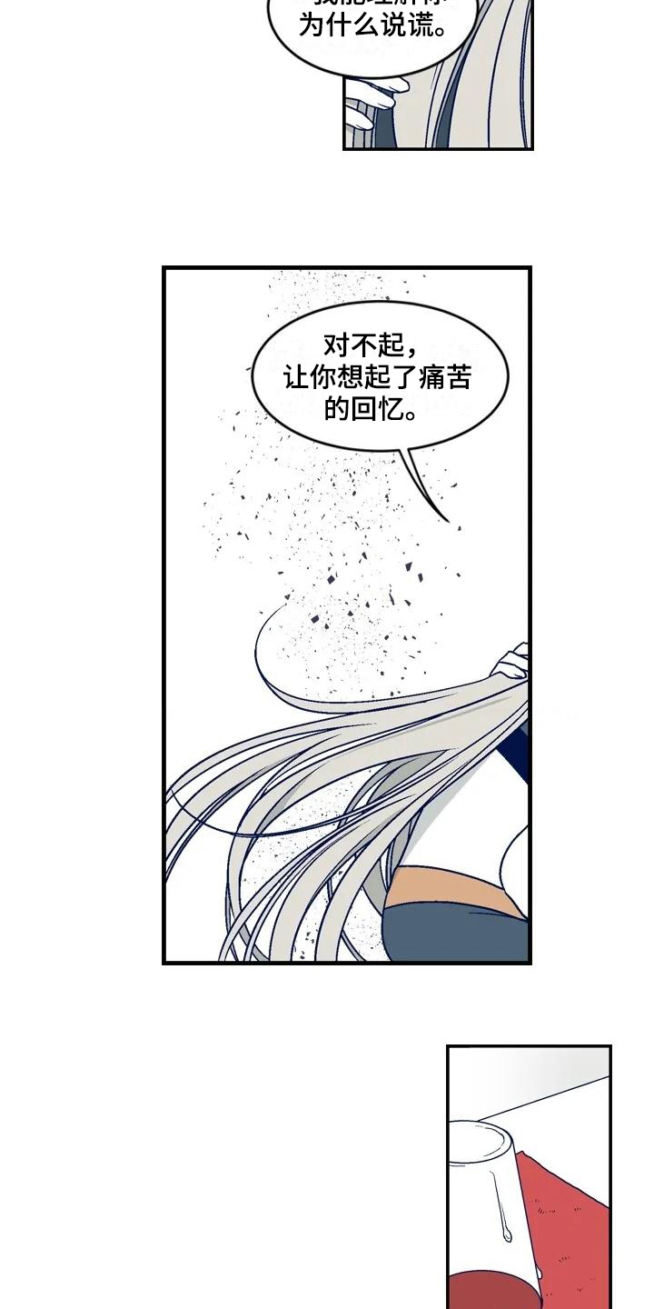 第16章：主要目的11