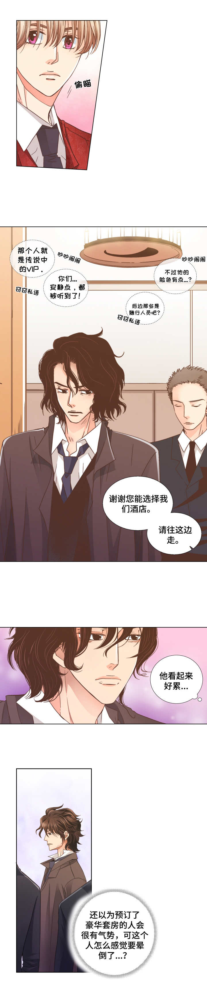 第1章：VIP客人5