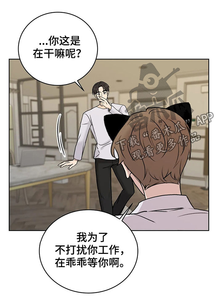 第26章：猫猫玩耍时间1