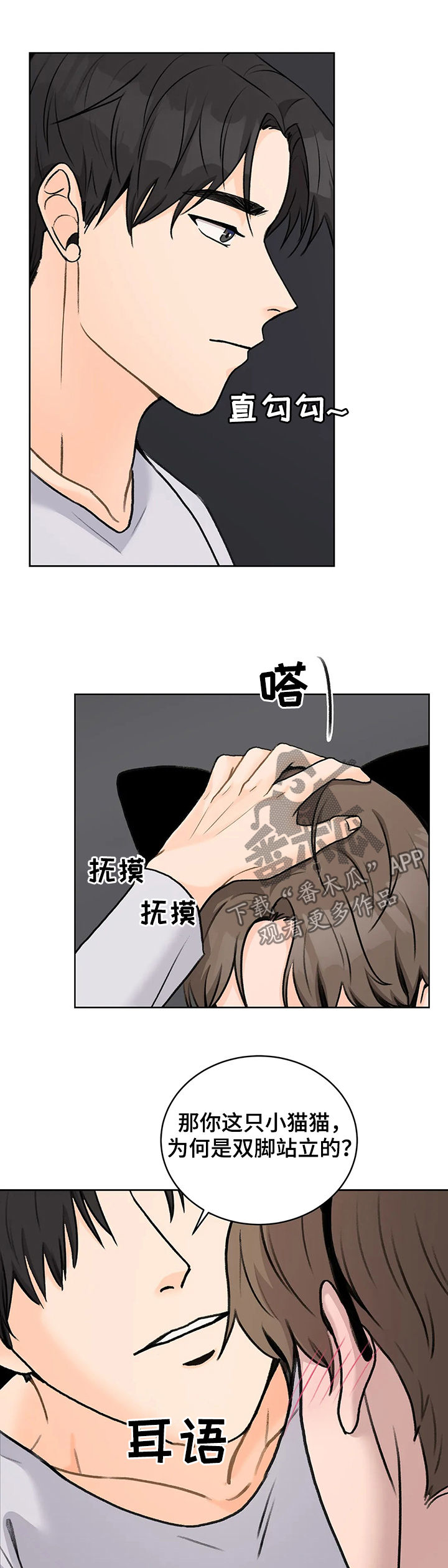 第27章：确定关系9