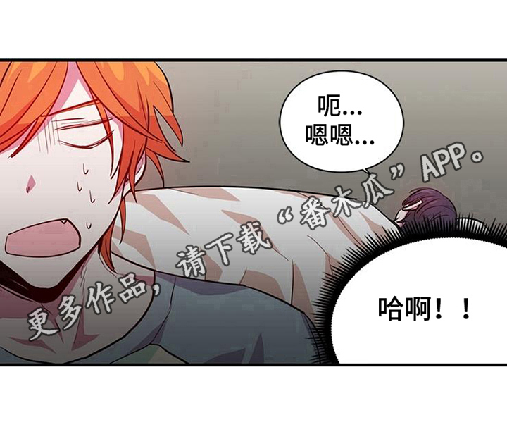 第14章：安排12