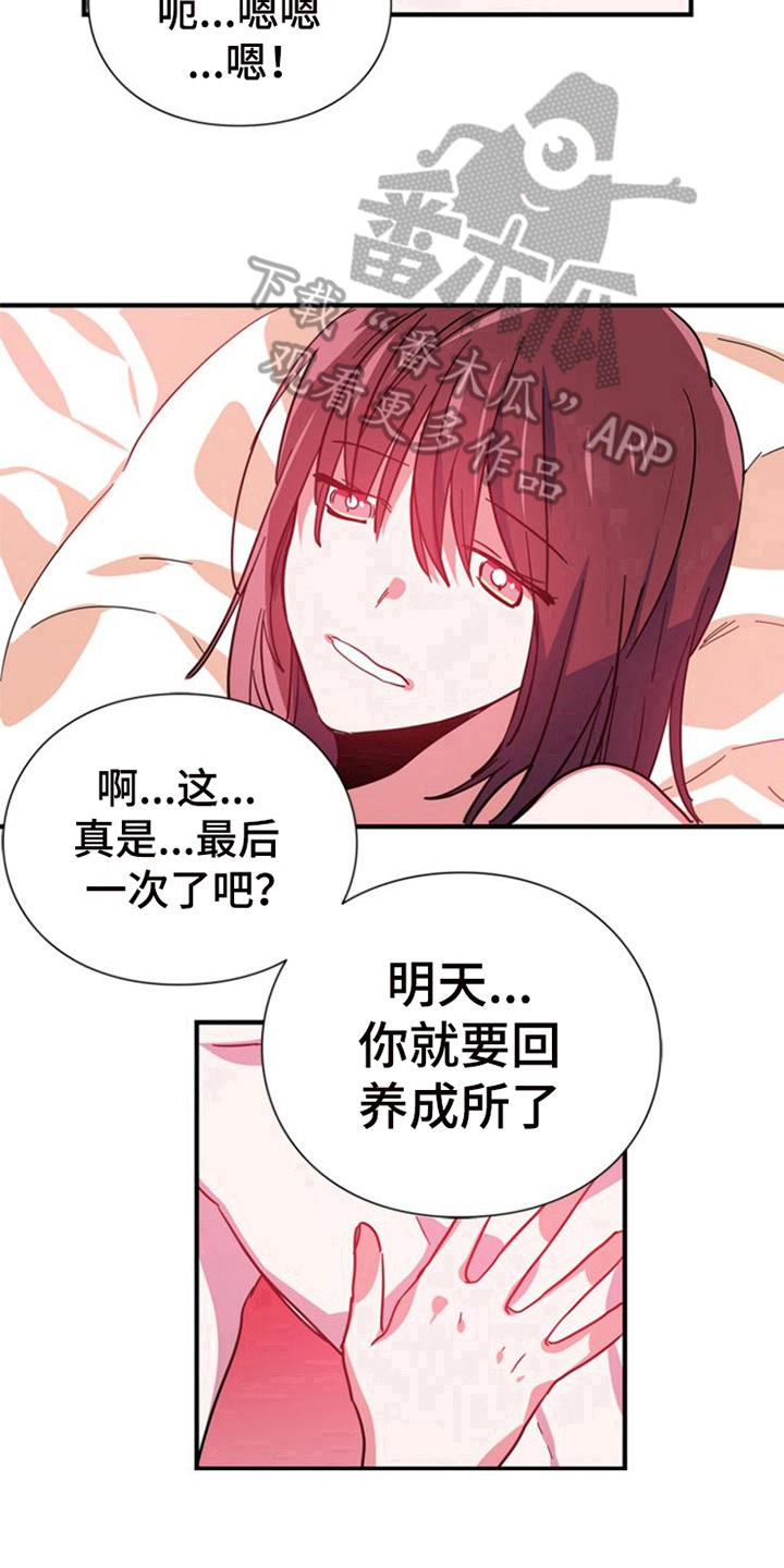 第22章：条件13