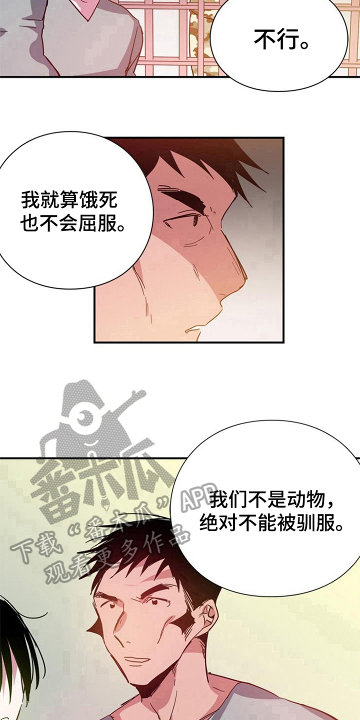 第29章：真心的力量【完结】12