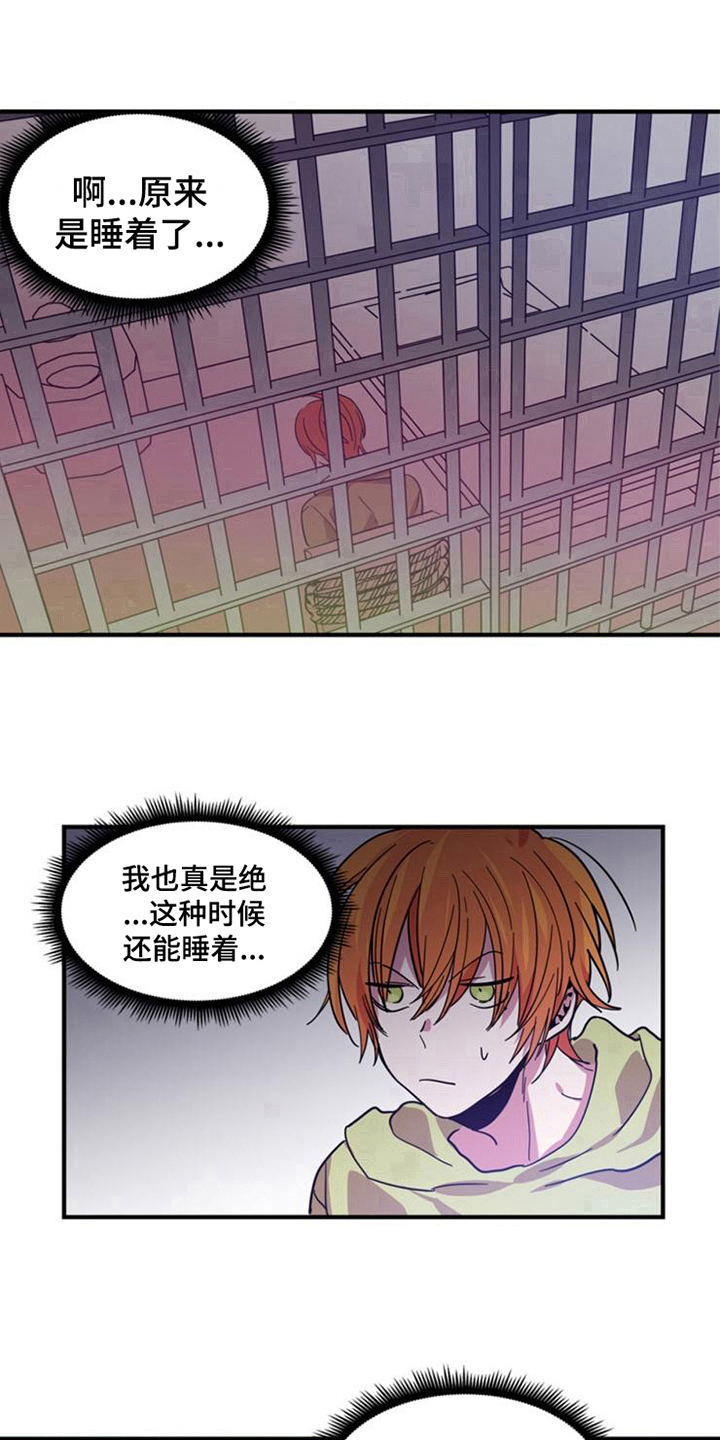 第24章：选择12