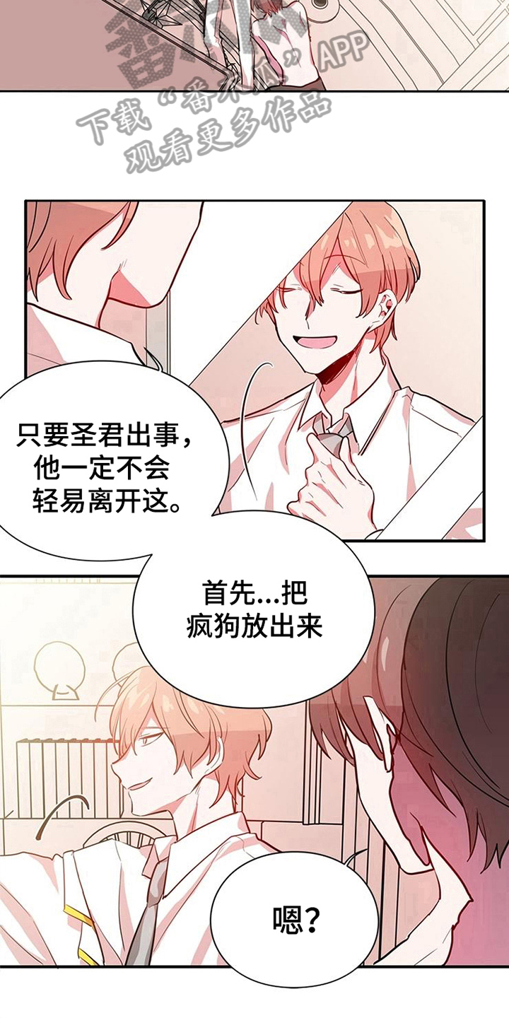 第13章：释放11