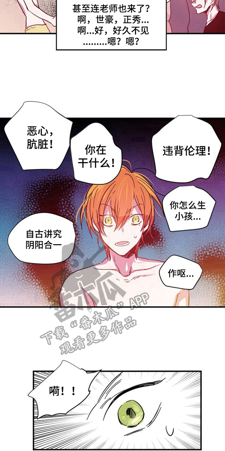 第24章：选择11
