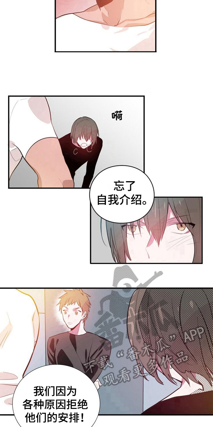 第4章：帮派10