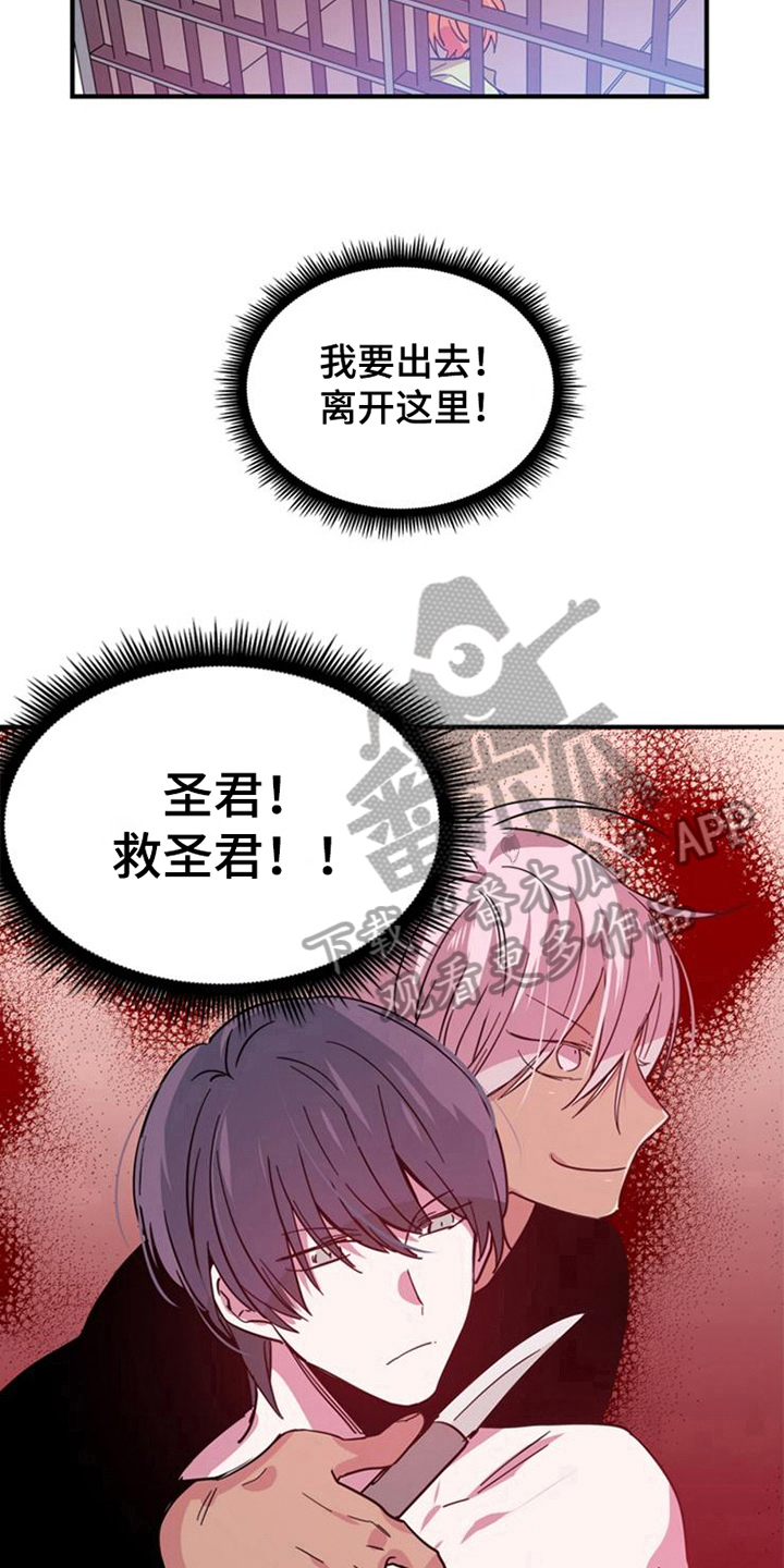第24章：选择6