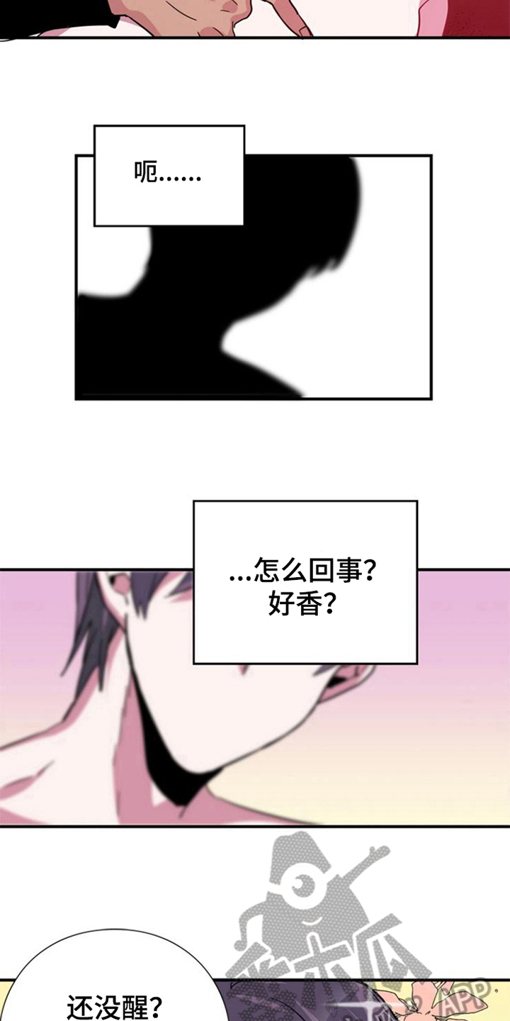 第24章：选择7