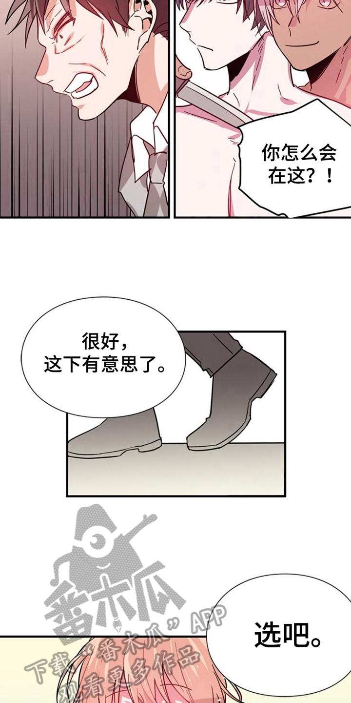 第24章：选择2