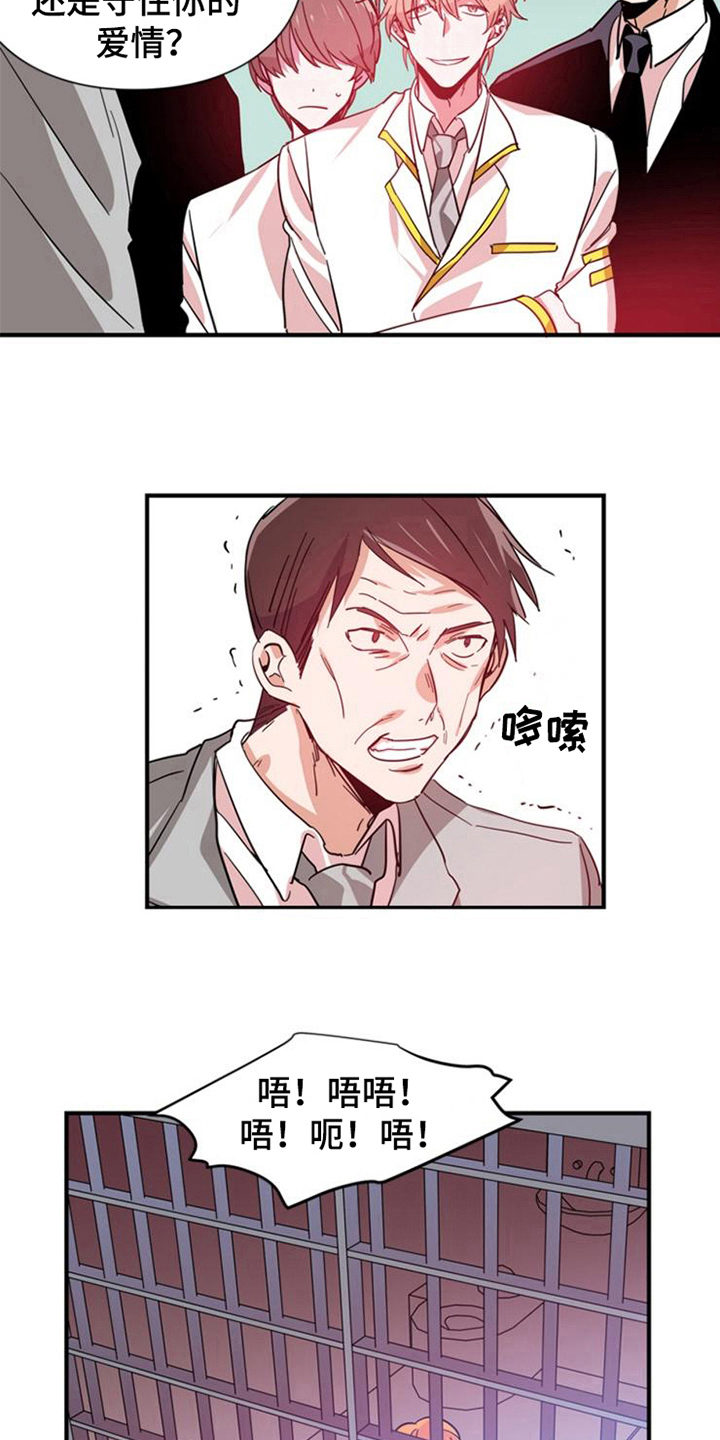 第24章：选择5