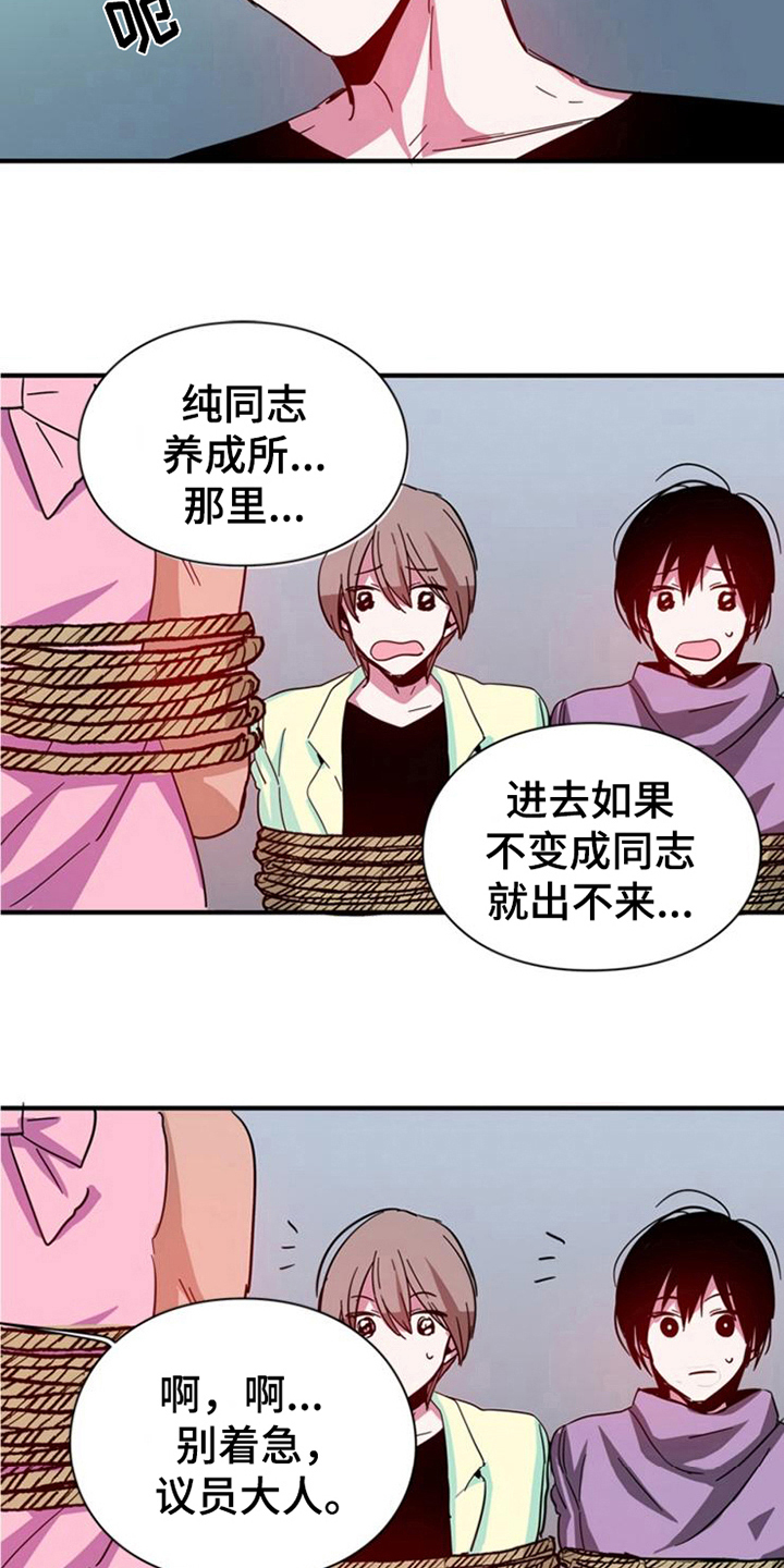 第22章：条件4
