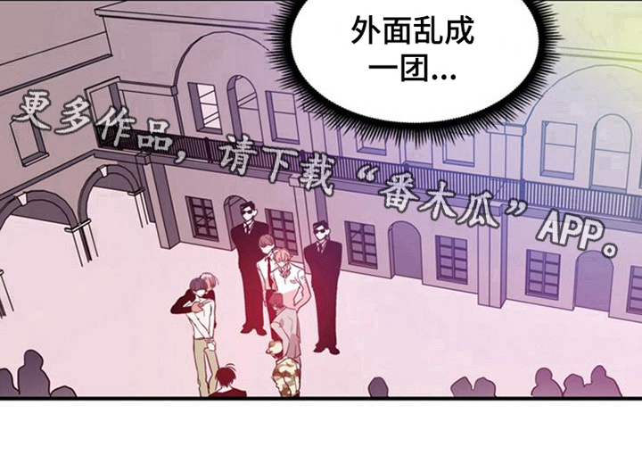 第24章：选择13